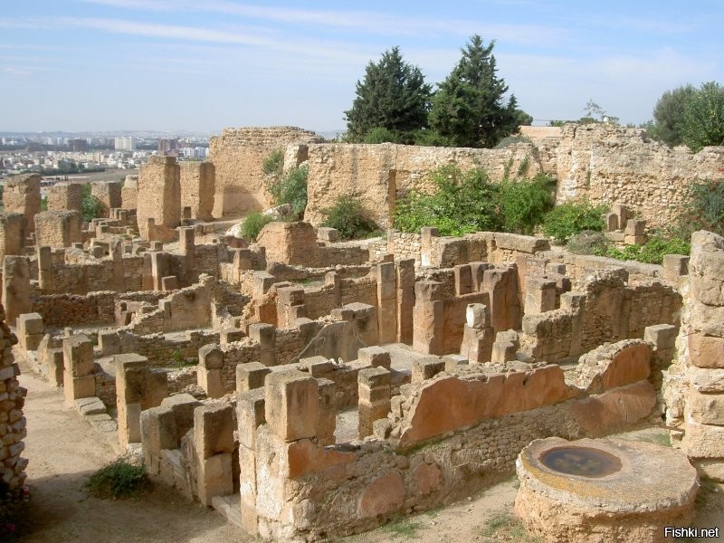 "Руины Карфагена в Тунисе "    ))) да нет, это не Карфаген, это обломки римской провинции с третей/четвёртой ареной по размеру(километров этак 250 от Карфагена), после того как Карфаген солью засыпали. А руины Карфагена выглядят примерно так....