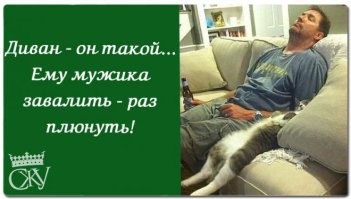 Скрины из соцсетей