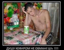 Йожика картинки. Выпуск 257