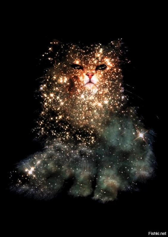 Солянка от 08.12.2022