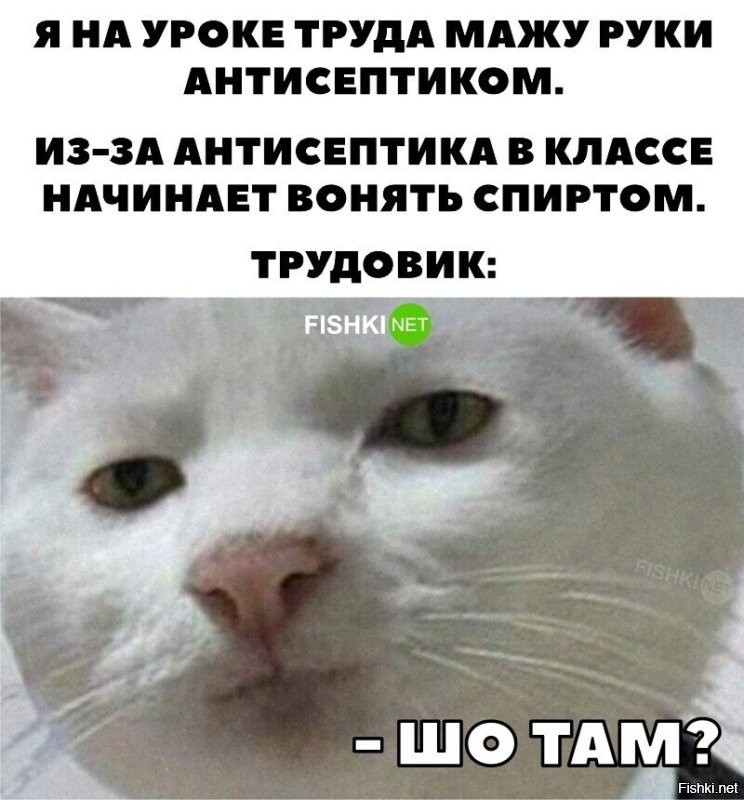 В кабинете труда спиртом может вонять только трудовик. А руки и с мылом помоете