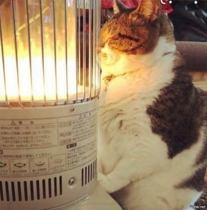 Солянка от 08.12.2022