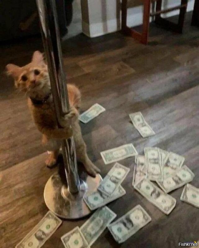 Солянка от 08.12.2022