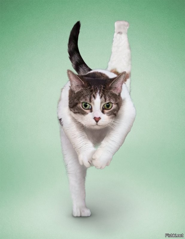 Как то так ...)