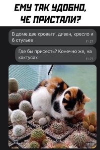 Шо вы домахались до котика, он просто йогой увлёкся.