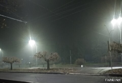 Доброе! У нас сегодня утром на улице даже собак бродячих нет :) а сегодня четверг и я его боюсь...