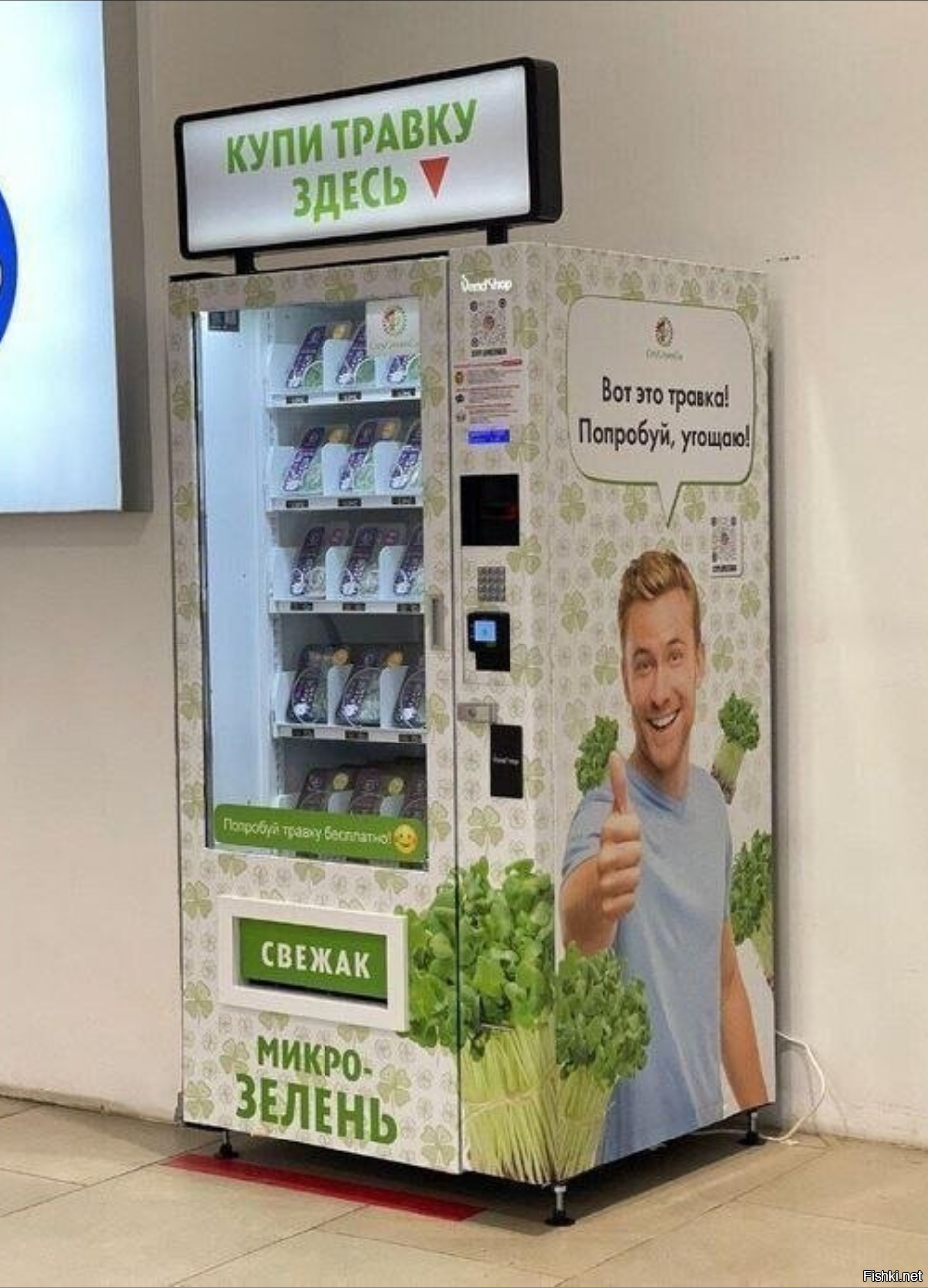 Солянка от 08.12.2022