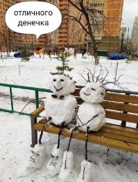 Смешные и познавательные картинки