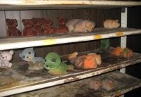 Фотографии, от которых мурашки бегут по коже