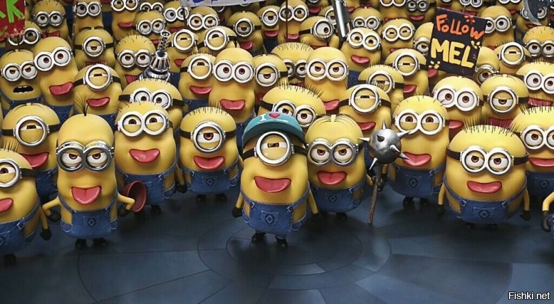 Магазин оптики