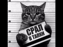 Виновны по всей строгости: как судили животных в эпоху Средневековья