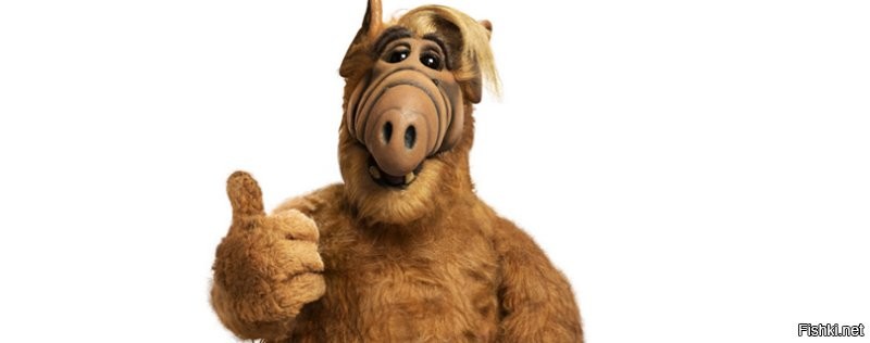 Солянка от 08.12.2022