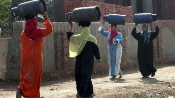 Йожика картинки. Выпуск 256