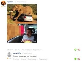 Намешалось