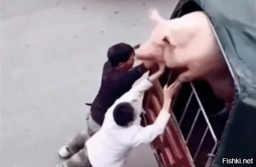 Солянка от 08.12.2022