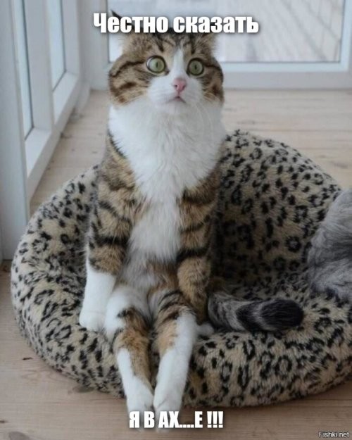 Солянка от 08.12.2022