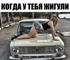 Йожика картинки. Выпуск 256