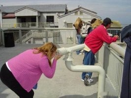 Ракурс решает: необычный взгляд на известные или привычные вещи