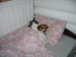 Необычные концепты кроватей, которые... есть