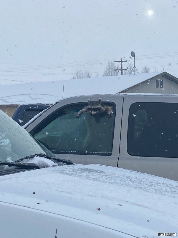 Ты кого подрезал