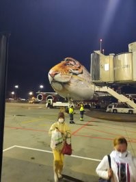 В прошлом году на таком с Адлера в Питер летел.