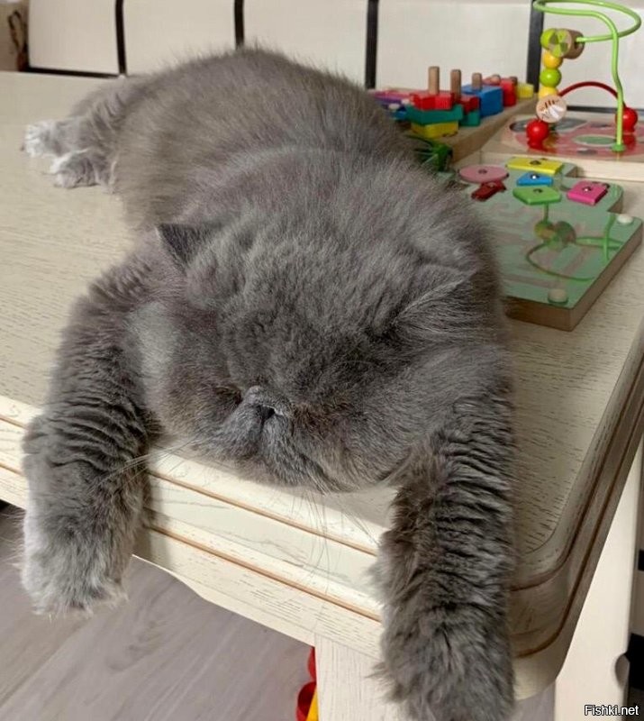 Солянка от 09.12.2022