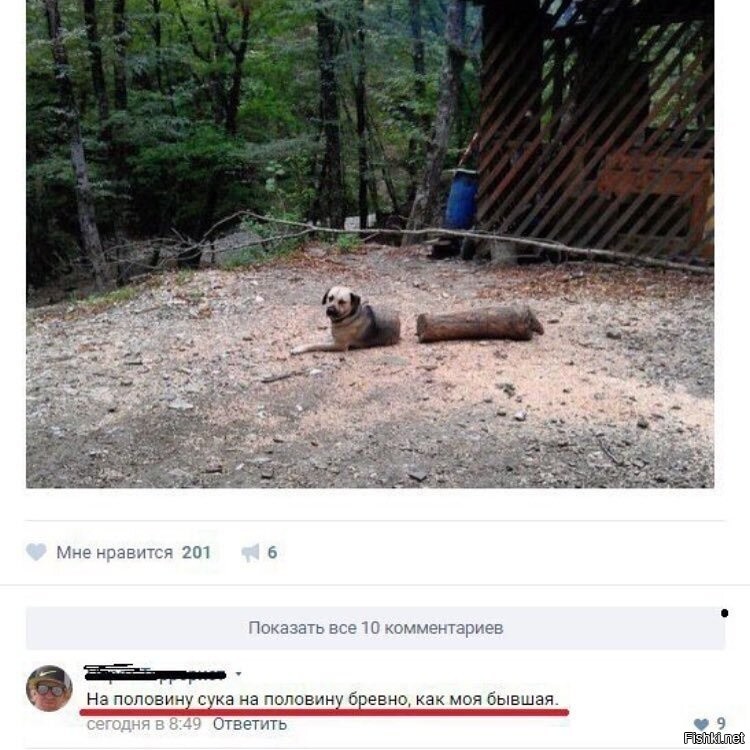 Солянка от 09.12.2022