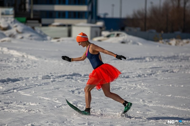 Солянка от 09.12.2022