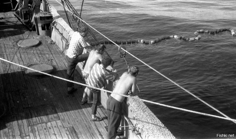 Утренняя " молитва"