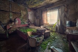 Природа захватила всё: как бы выглядел мир без людей?