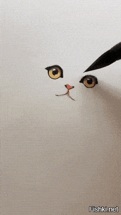 куда ж без них?