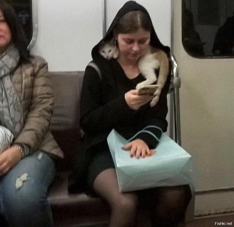 Солянка от 10.12.2022