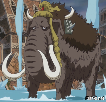 Солянка от 10.12.2022