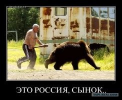 Чем отличается россия от америки?
