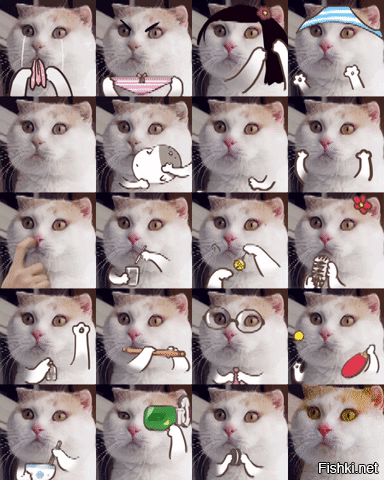 Телефон Ксюхи)))