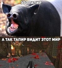 ЙОПТ))) я в 42 годов осознал что в 12 я был ТАПИР!!!