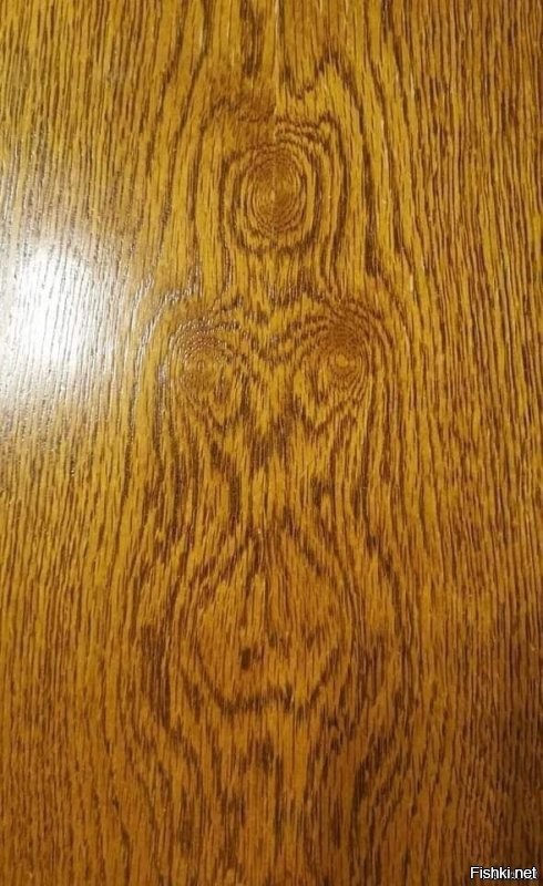 Солянка от 10.12.2022