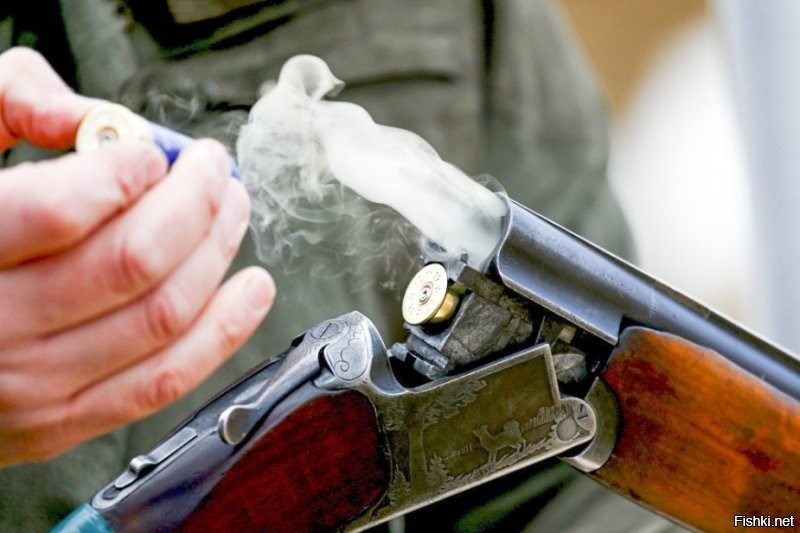 В целях совершенствования законодательства об оружии и развития охотничьего туризма в ряд федеральных законов внесены изменения. Они позволят собственникам передавать охотничье оружие и патроны к нему иностранцам "для его временного ношения и использования в целях охоты"