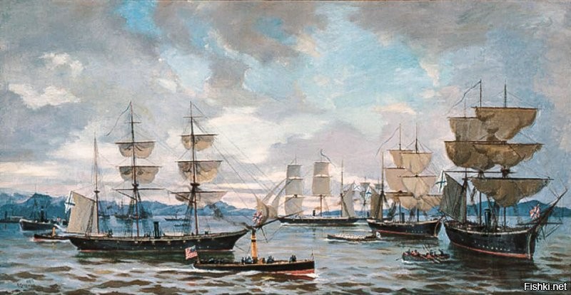 На протяжении многих десятилетий визит русских эскадр связывался в первую очередь с гражданской войной в США. В действительности причиной посылки русских эскадр в Северную Америку было резкое обострение отношений России с Англией и Францией в связи с польским восстанием 1863 г.
Нью-Йорк как место назначения эскадры впервые прямо упоминается в проекте инструкции Лесовскому, утвержденной царем 11 июля 1863 г.7 «По выходе из Финского залива Вы направитесь со всею эскадрою к берегам Северо-Американских Соединенных Штатов, не заходя по пути ни в какой порт, и по прибытии в Америку бросите якорь в Нью-Йорке» 
Цель экспедиции, в соответствии с инструкцией, состояла в том, «чтобы в случае предвидимой ныне войны с западными державами, действовать всеми возможными и доступными Вам средствами против наших противников, нанося посредством отдельных крейсеров наичувствительнейший вред и урон неприятельской торговле или делая нападения   эскадрою на слабые и мало защищенные места неприятельских колоний»