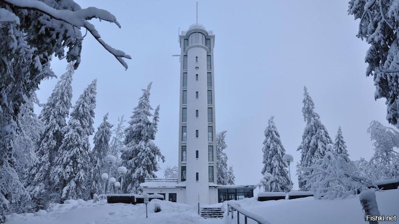 В Эстонии гор нет. Горами считаются возвышенности от 500 метров, а в Эстонии самая высокая точка 318м. Там даже смотровую площадку сделали))
