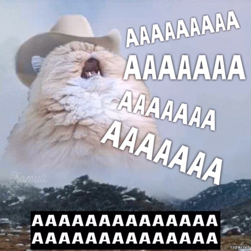 Солянка от 11.12.2022