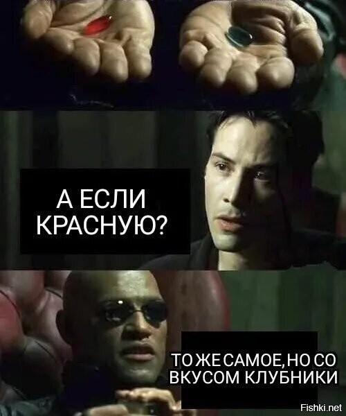 Солянка от 11.12.2022