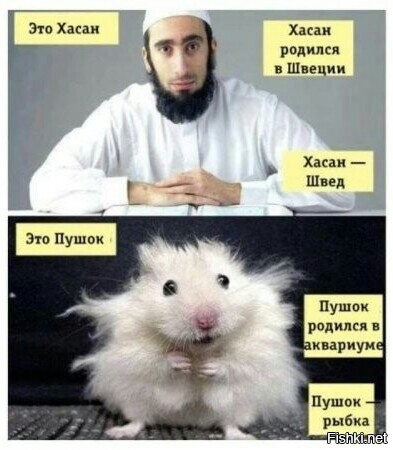 В 2000-м году английская газета купила рекламу на подошвах противника Майка Т...