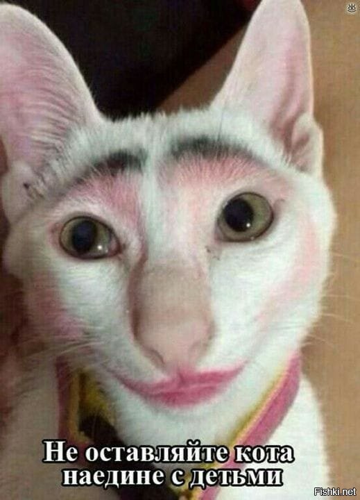 Солянка от 11.12.2022