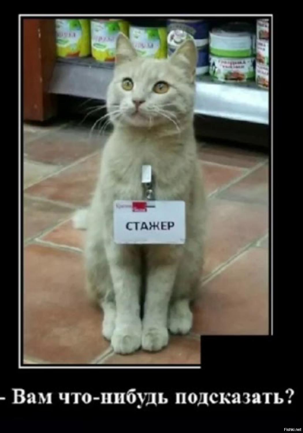 Солянка от 11.12.2022