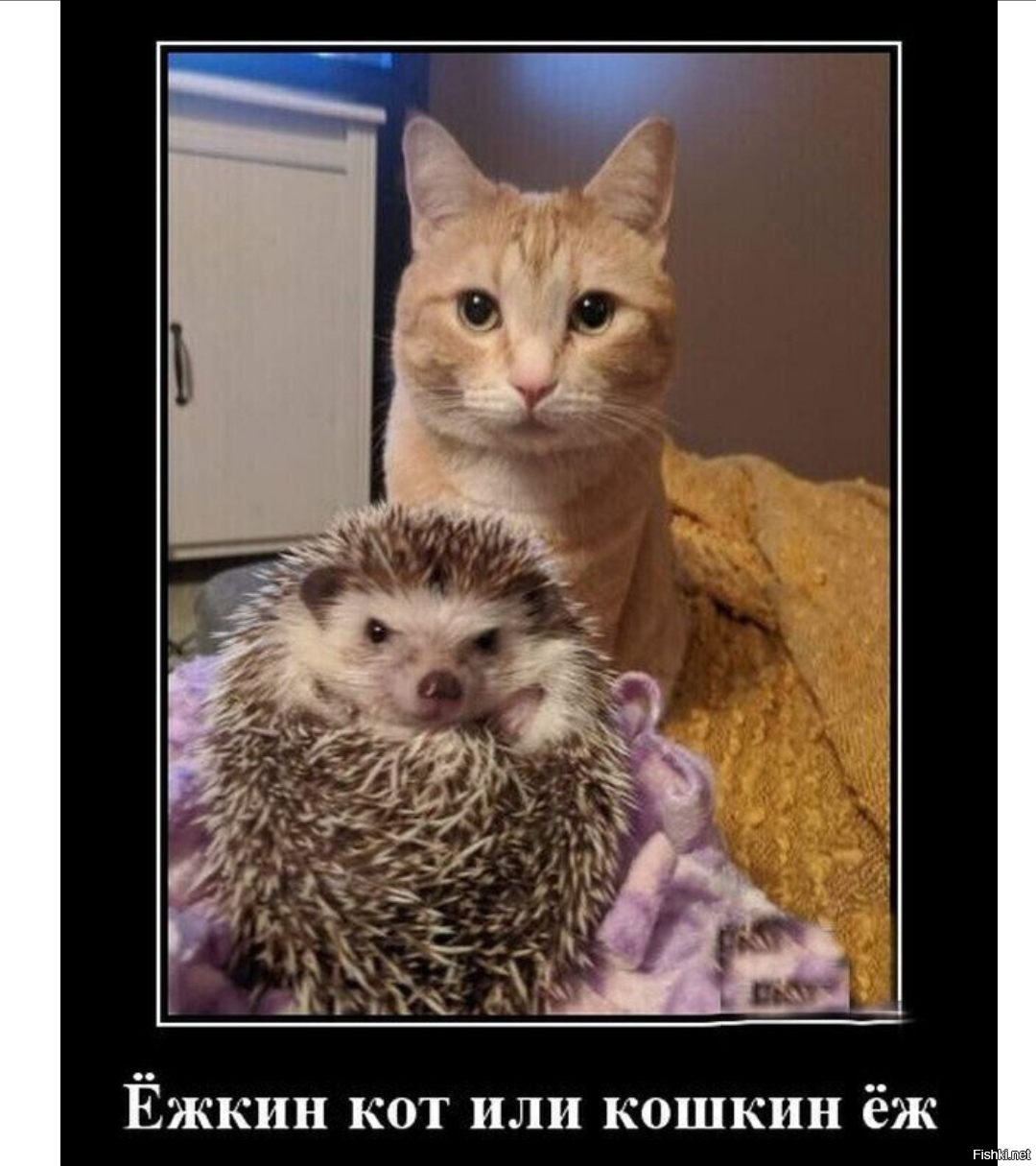 Выеживается