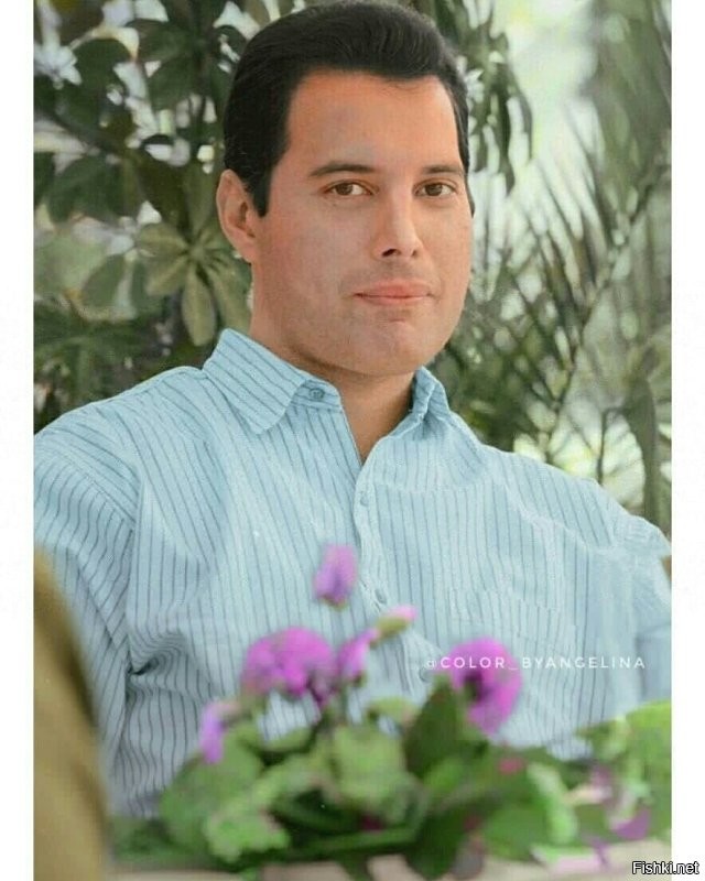 Солянка от 11.12.2022