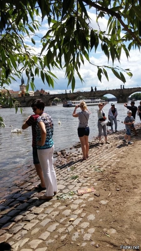 Там же на Влтаве...