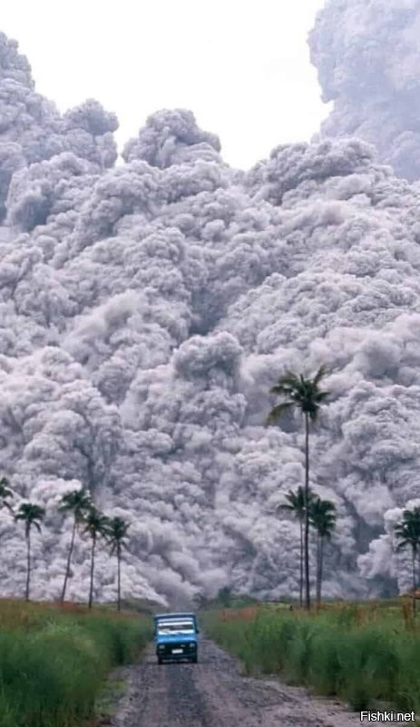 Здесь спасения нет. Это пиропластический поток  смесь высокотемпературных вулканических газов, пепла и обломков пород, образующаяся при извержении вулкана. Скорость потока иногда достигает 700 км/ч, а температура газа   100 800  C (Википедия). Этой бибике - трындец, при чем очень плохой.