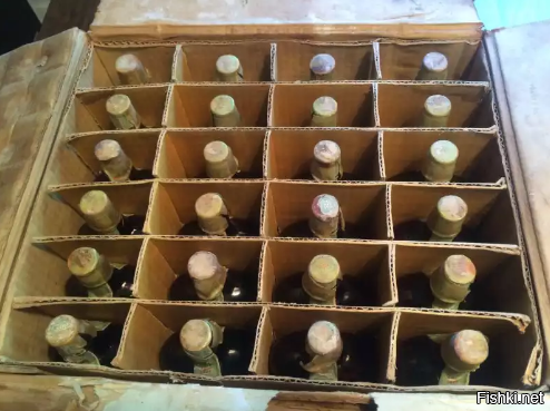 Солянка от 11.12.2022